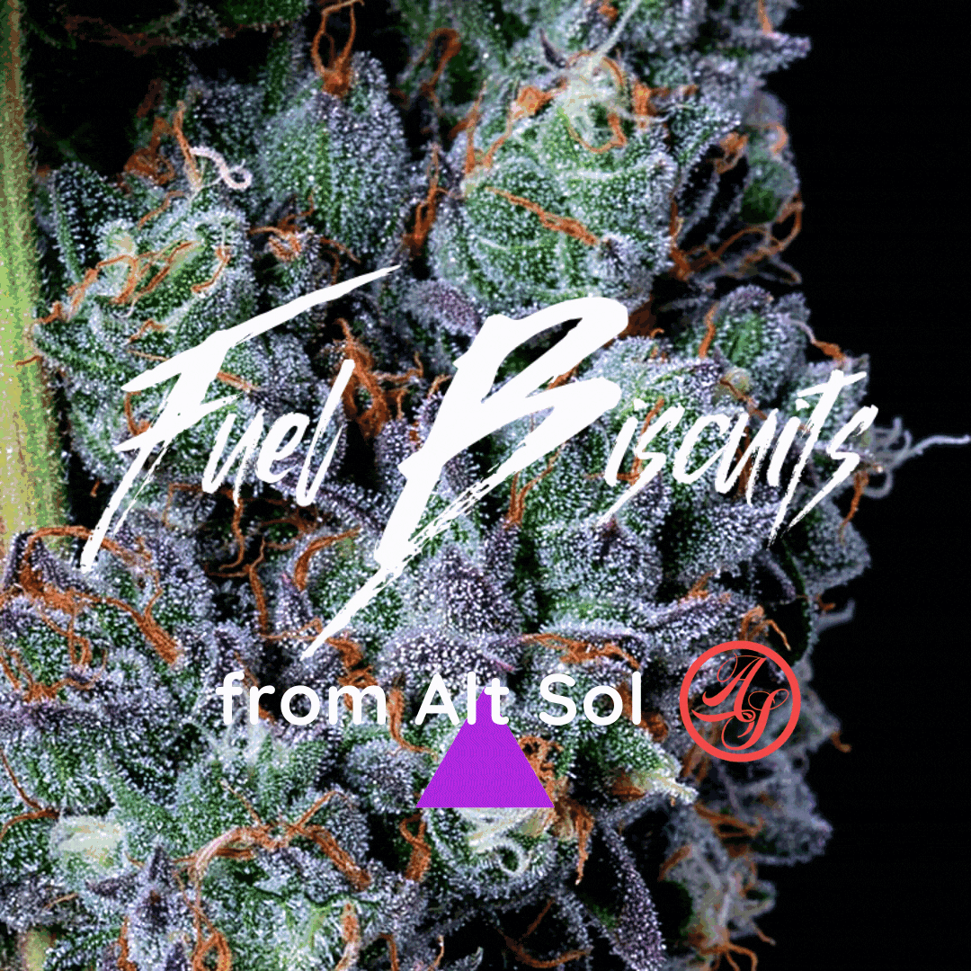 alt-sol-review-fuel-biscuits-top-view-cover