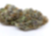 Blue Gelato - District Derp