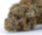 Gelatti - Exotic Organics