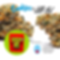 Cookies & Alt Sol "Tahitian Lime" Strain Review - Takoma Wellness Center