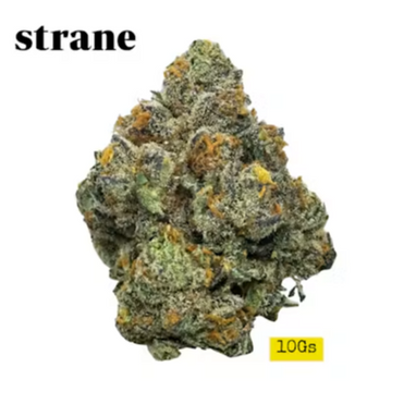 Grapefruit is the fruit nobody finishes at breakfast. strane split it open and found a surprising amount of energy inside: 29.5%, with a daytime arc to match.