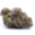 Sweet Tooth by Terp Lords - Maven Wellness