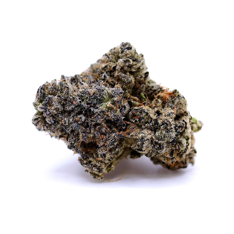 ghouse-dc-weed-review-giraffe-pussy-x-cherry-biscotti-strain-bud-2