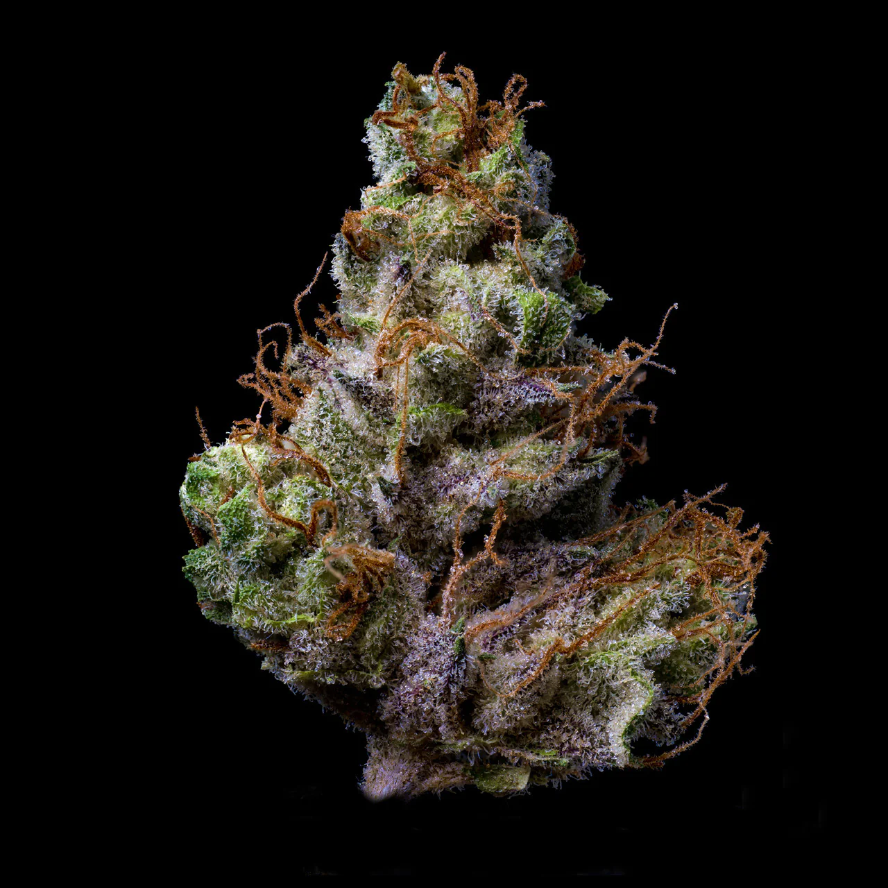 Bubba Kush THCA Flower