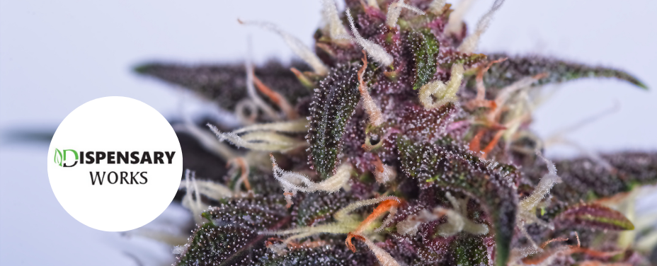 Dispensary Works in White Plains offers a reliable rural dispensary with straightforward service.