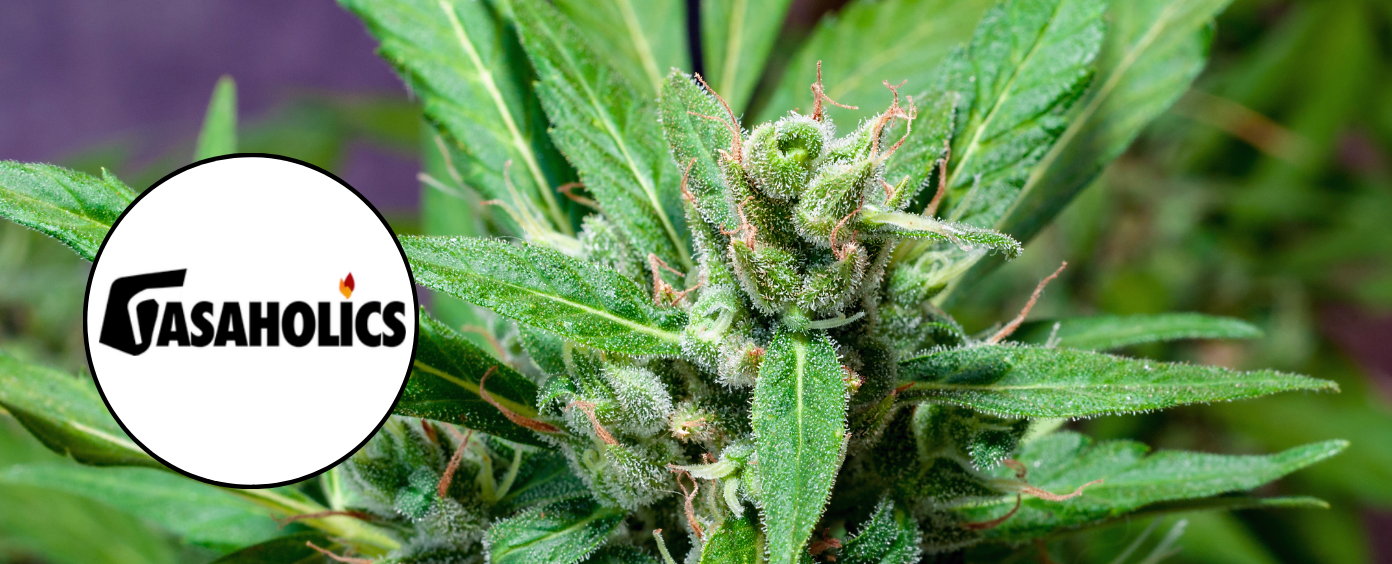 H Street Corridor dispensary with high-energy, potent products.