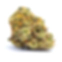 Tropicanna by Good Green - The Living Room (Maryland Recreational)