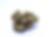 liberty-cannabis-flower-review-strane-papayas-&-bananas-1
