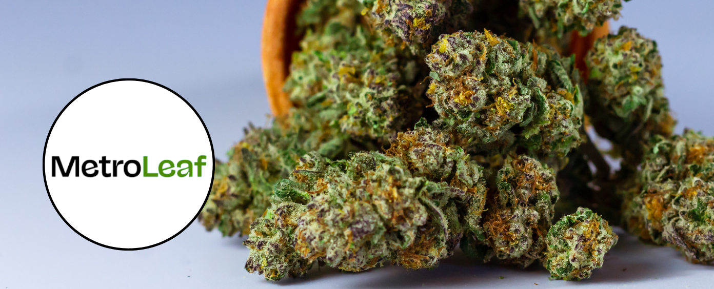 Petworth dispensary with a lush, nature-inspired atmosphere.