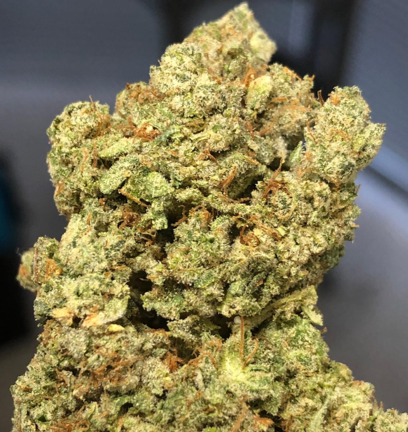 Gorilla Cake Baked DC