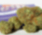 Alien OG - No Kids Allowed