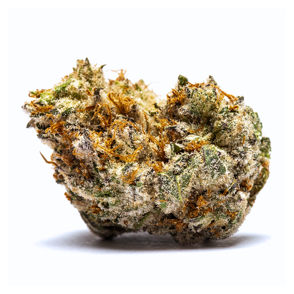 mochi-strain-review-elevated-lounge-dc-bud-2