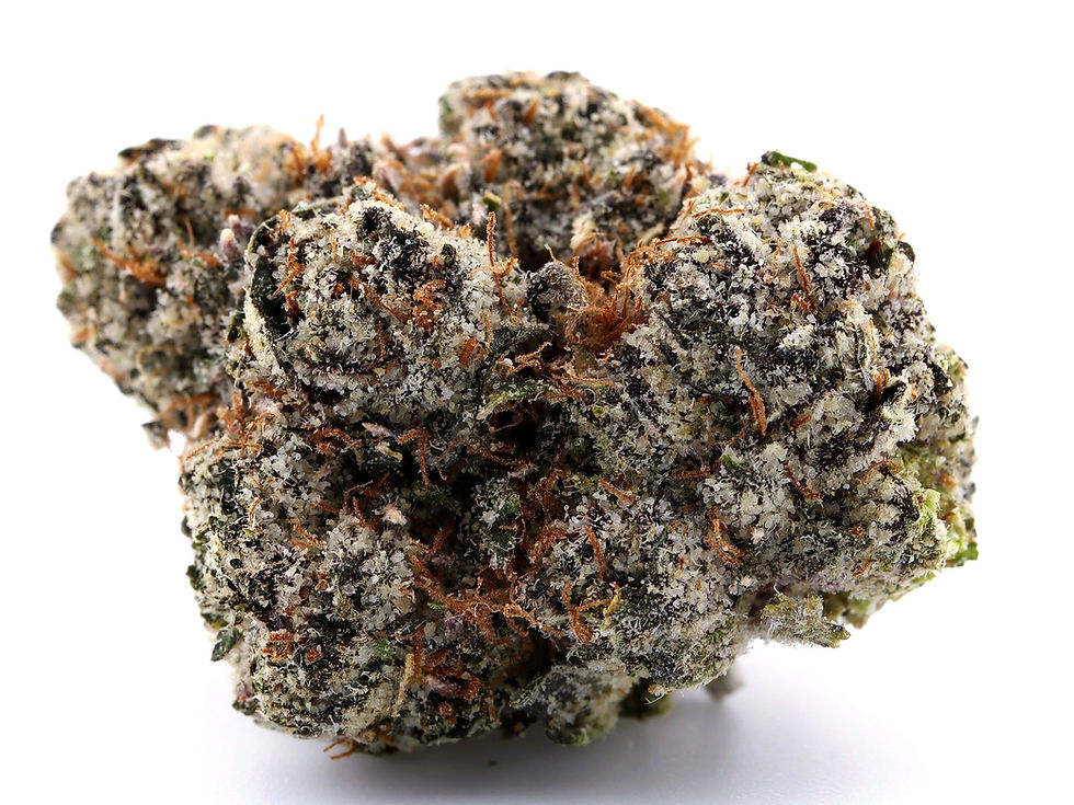maven-wellness-dc-weed-review-platinum-cry-baby-strain-bud-1