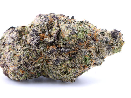 Papaya Punch - Capital Remedy
