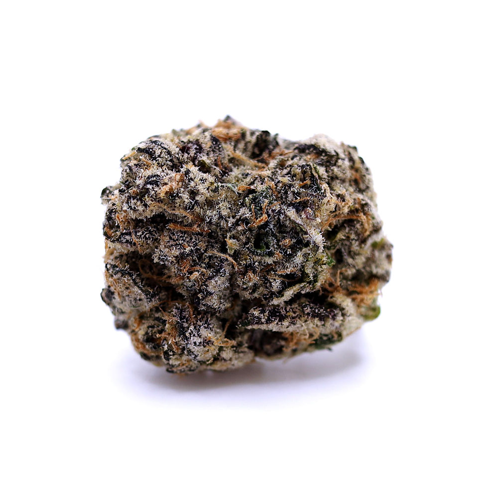 ghouse-dc-weed-review-giraffe-pussy-x-cherry-biscotti-strain-bud-3
