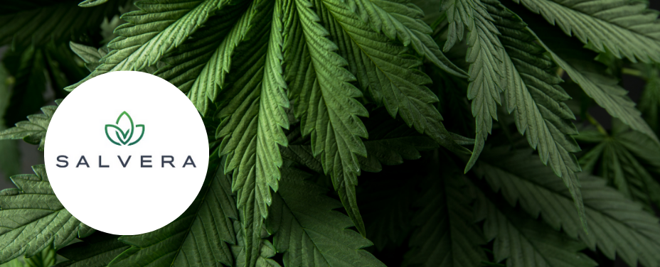 Salvera in Bowie offers a modern dispensary with premium flower and wellness expertise.