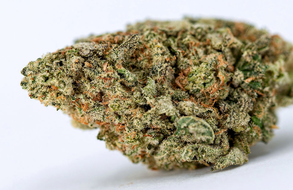 cannabear-dc-weed-review-white-grape-side-view-2