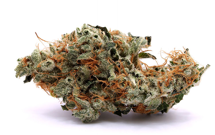 Kosher Kush