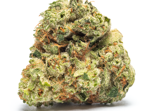 Romscotti 8 - CULTA Columbia Dispensary (Maryland Recreational)