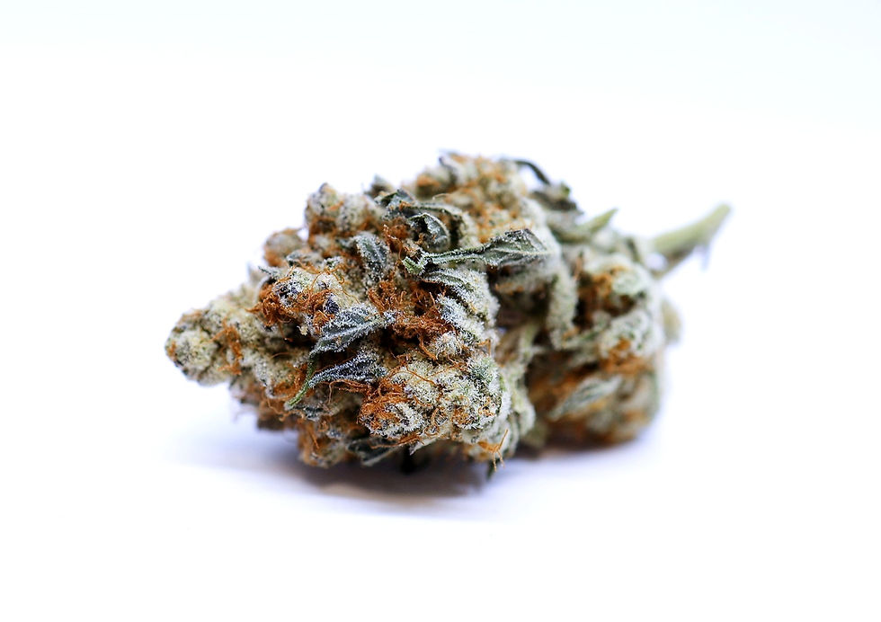 giving-tree-dc-weed-review-dream-soda-strain-bud-3