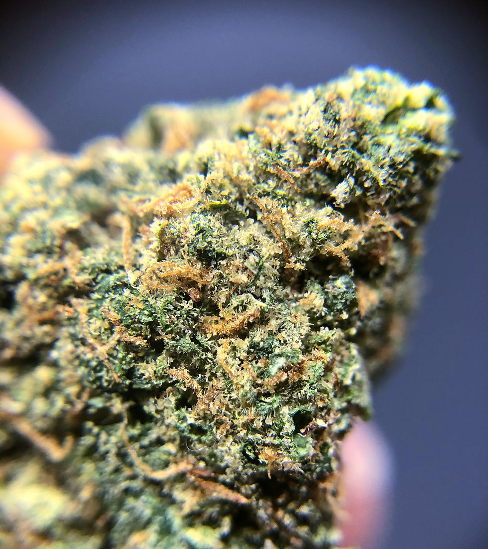 district-derp-dc-weed-review-pie-hoe-macro-view-1