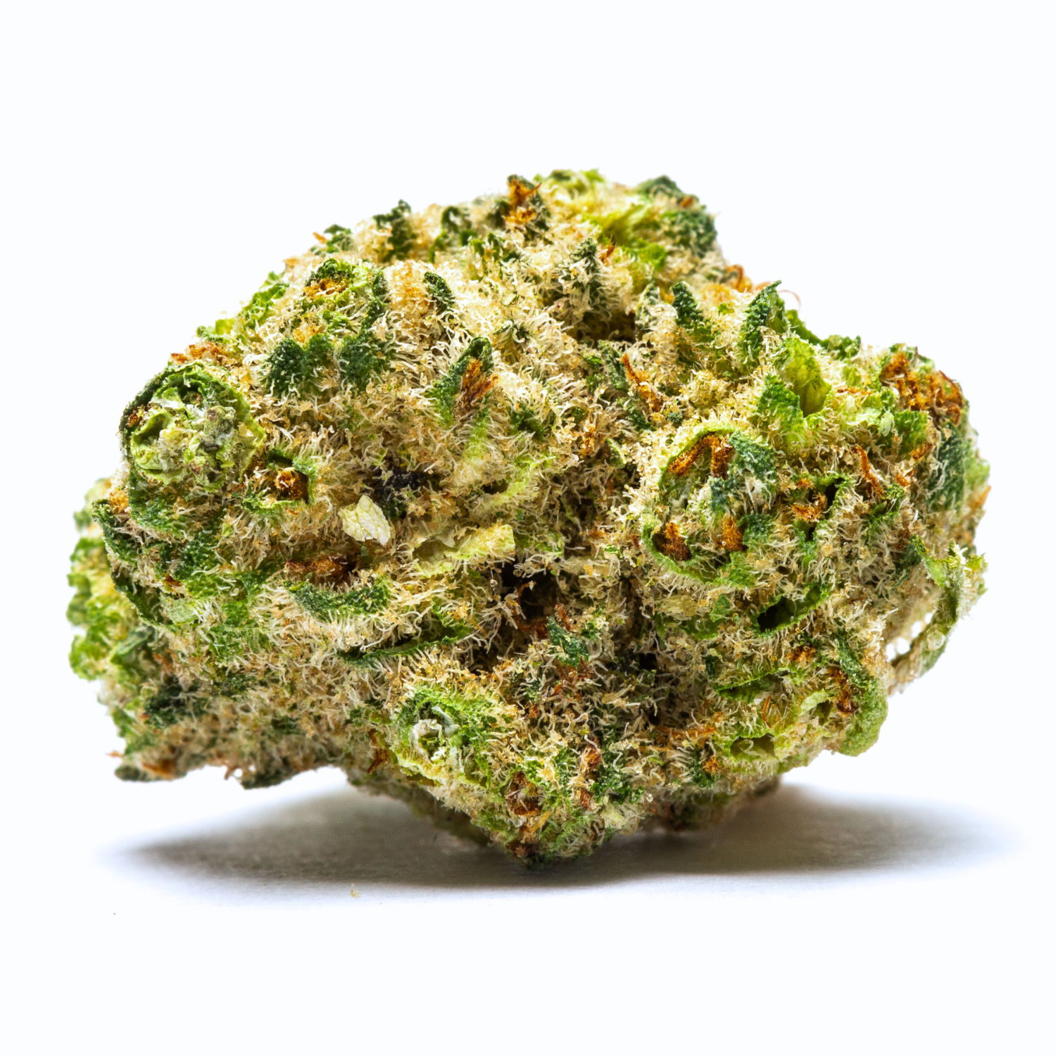 Asmr Sleep Time With Olly Sleep Supplement Gummies