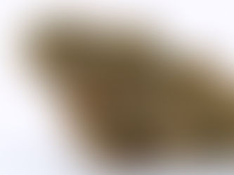 Area 51 - The Gift Givers