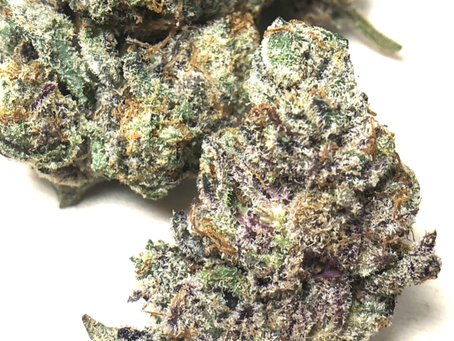 Space Monkey - Joint Delivery