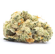 Bruce Banner