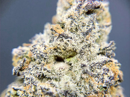 RS 11 - Elevated Lounge DC