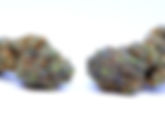 Zerbert Strain — Effects, THC %, Lineage & Reviews | Toker's Guide