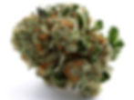 waave-md-weed-review-snoop-dog-og-strain-bud-4