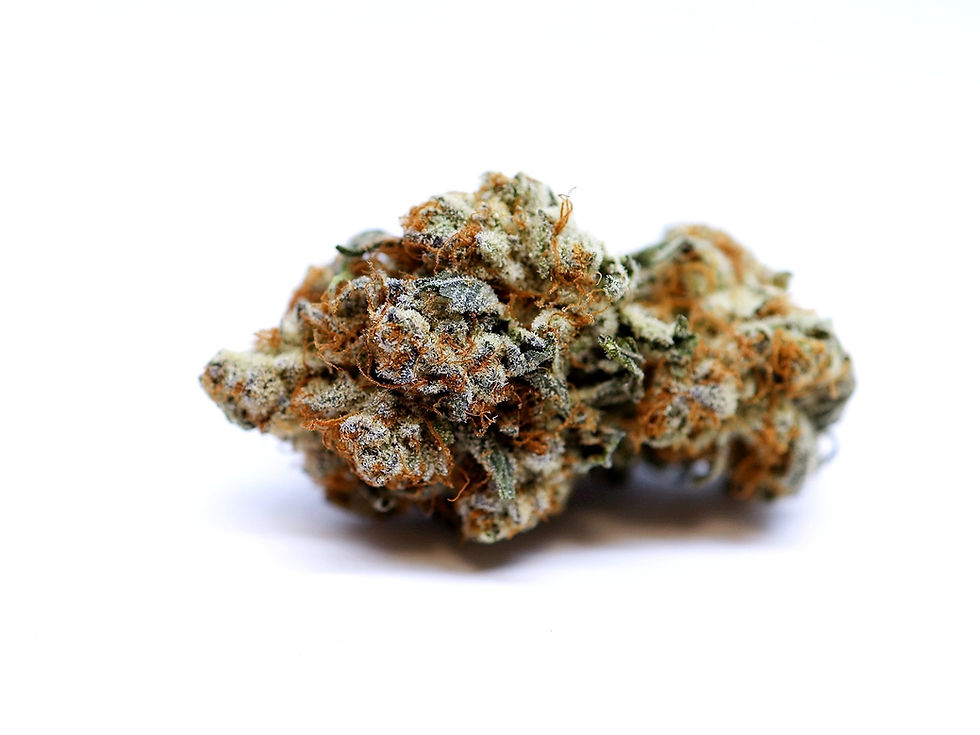 giving-tree-dc-weed-review-dream-soda-strain-bud-2