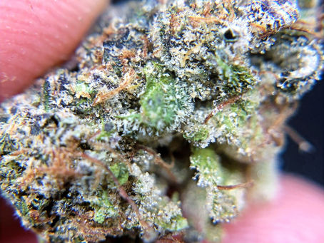 Gelato Cookies - Elevated Lounge DC