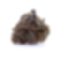 Highuasca by Cannabiotix - Treehouse & Buddha Buddy DC