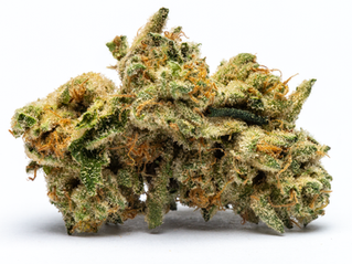 Gelatti Mints by Alt Sol - District Cannabis
