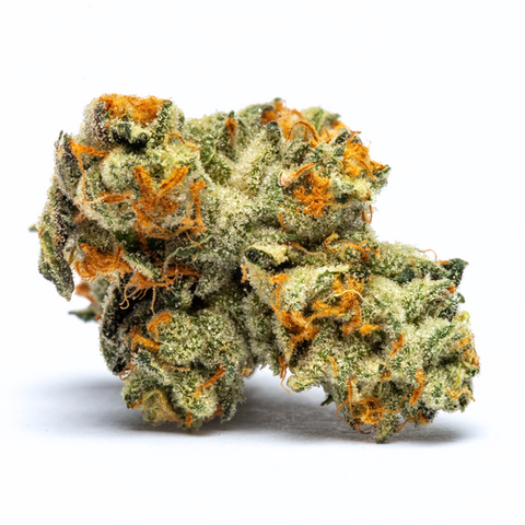 This recent batch of Fuel Biscuits, cultivated by Alt Sol and available at Green Theory in Washington, DC, is an indica-dominant hybrid t...