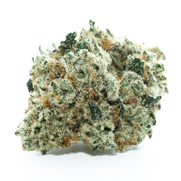 There's a specific genius in naming a strain Banana Bread, because everyone already has a feeling about banana bread before they've smelled a single nug. It's the food equivalent of a warm blanket — nostalgic, unpretentious, quietly indulgent. Shauncron clearly understood the assignment. Bred during the solventless gold rush, this was his answer to a gap he spotted in the market: a plant that could pump out world-class hash and leave behind gorgeous, flavorful flower instead of the sad, washe...