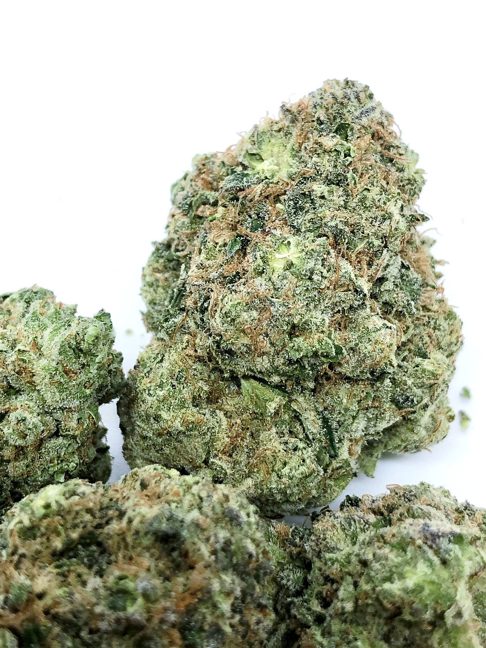 blue-dream-sherbert-elevated-lounge-dc-weed-review-side