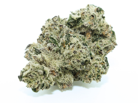 Blue Lobster - The Flowery (Florida Medical) 