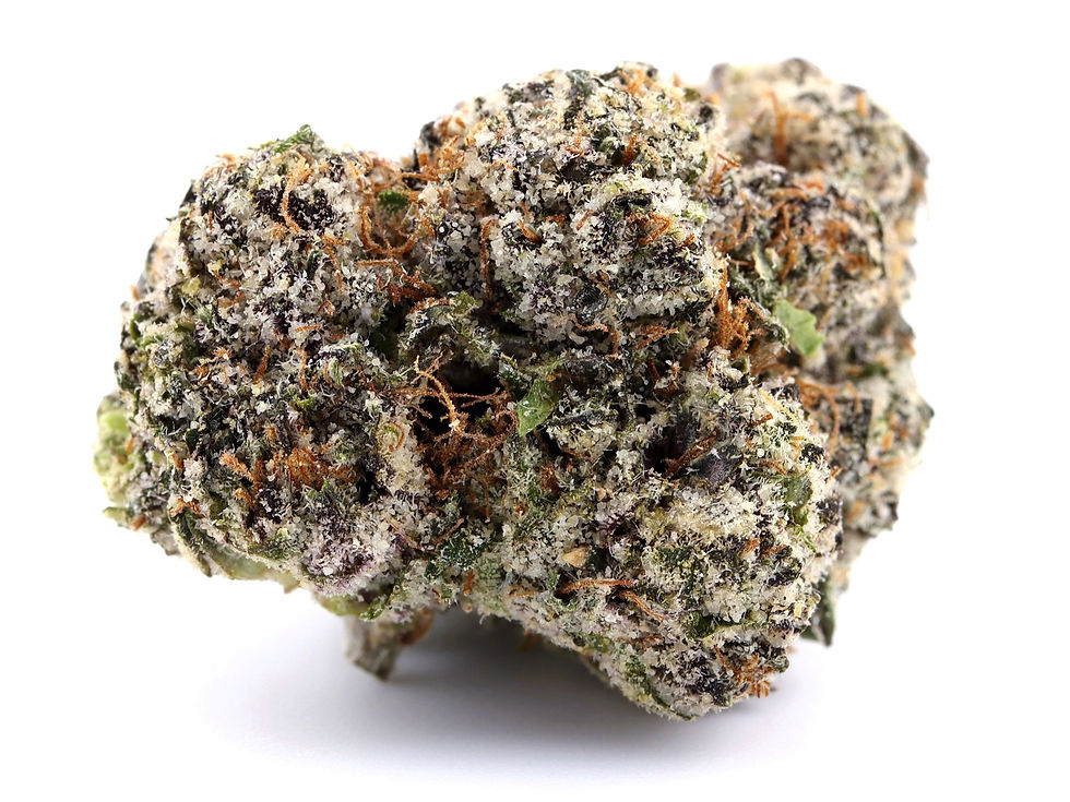 maven-wellness-dc-weed-review-platinum-cry-baby-strain-bud-2