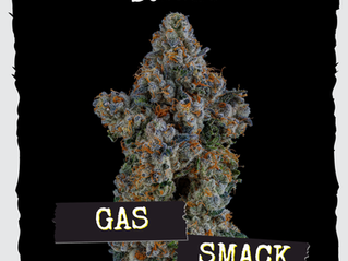 Gas Smack by strane - Dispensary Works (Maryland Recreational)