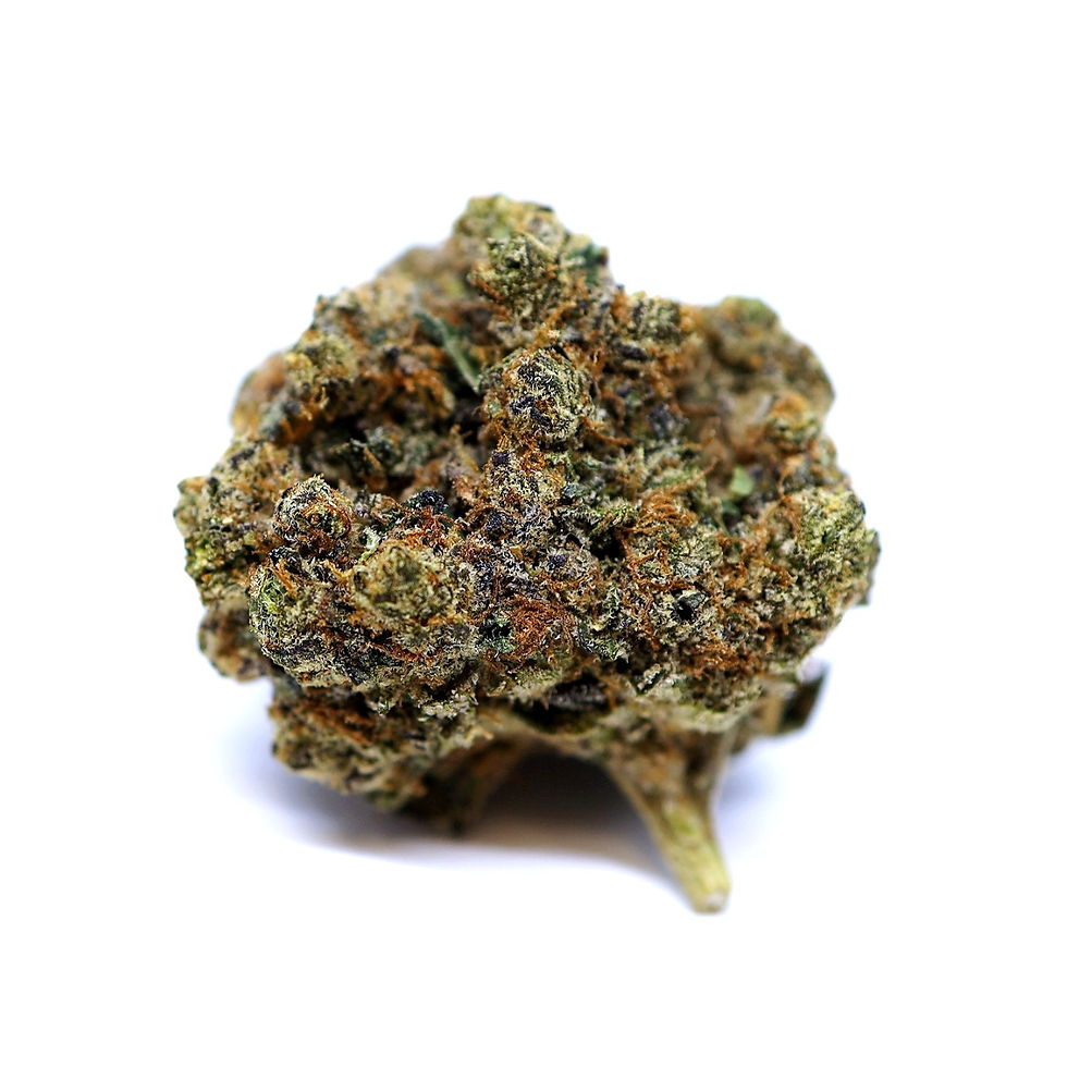 the-treehouse-dc-weed-review-black-cherry-soda-strain-bud-2