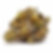 takoma-wellness-dc-weed-review-blueberry-banana-strain-bud-1