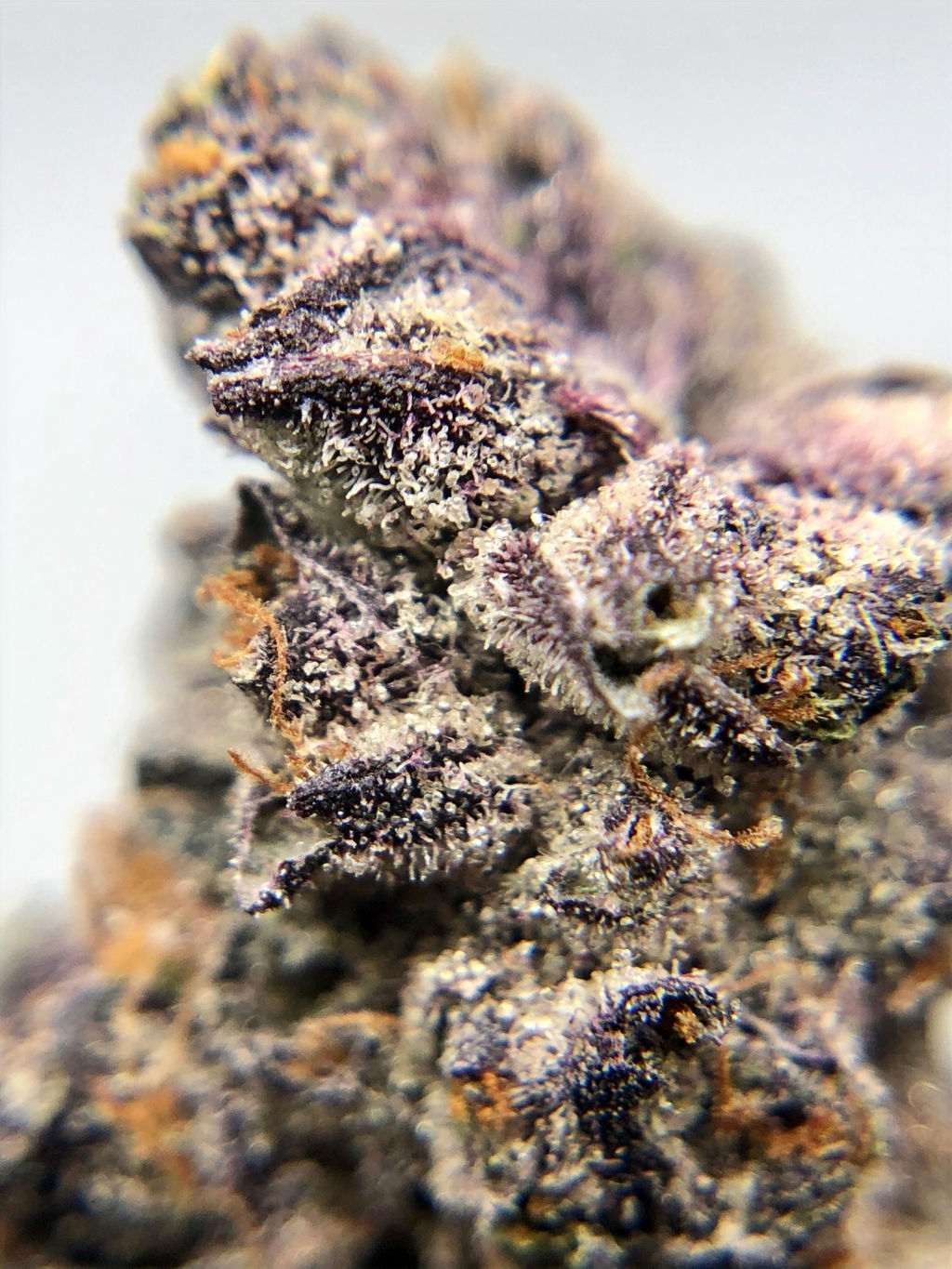 Top Secret DC Toker's Guide