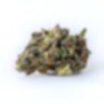cookies-tampa-florida-weed-review-hawaiian-rain-strain-bud-2