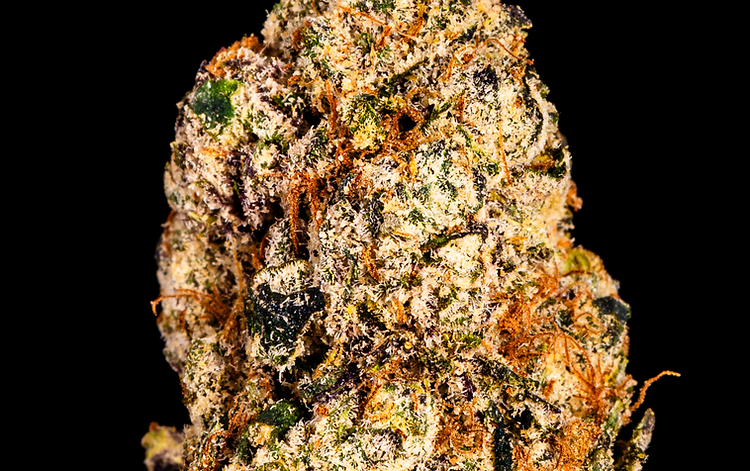 Lemon Cherry Gelato
