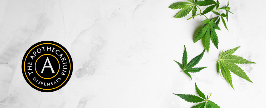 Apothecarium Salisbury blends coastal apothecary charm with curated cannabis in Wicomico County.