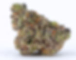 Sunkist - Buddha Buddy DC
