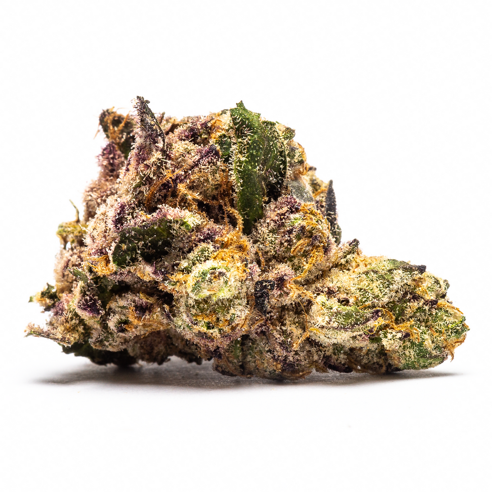 shmu-the-cannaprophet-dc-weed-deliver-review-tickle-burger-strain-bud-4